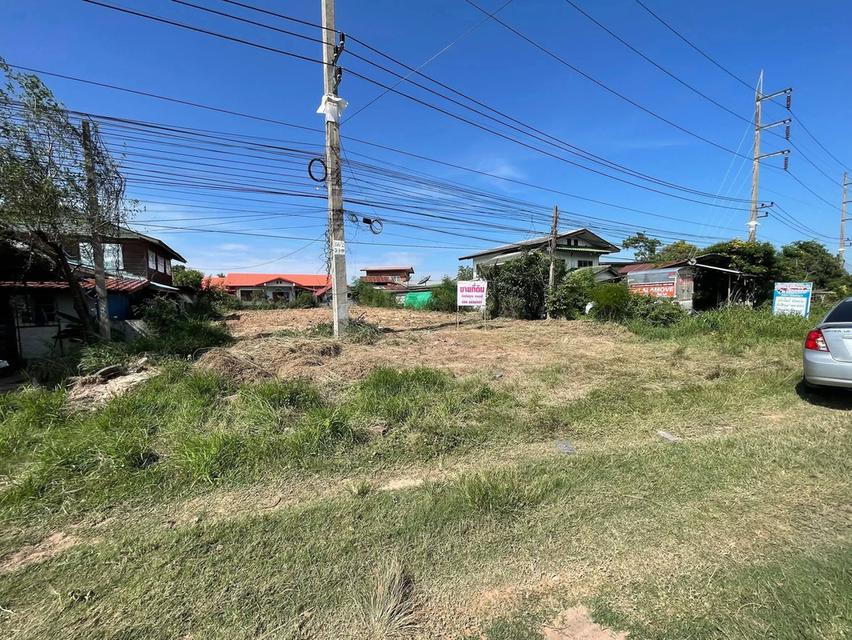 ขายที่ดิน ว่างเปล่า อำเภอเมือง มหาสารคาม 3