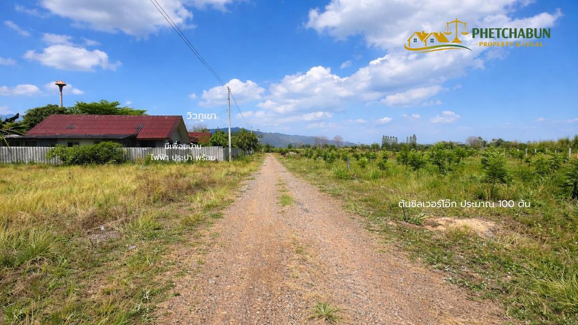 ที่ดินเปล่า 266 ตารางวา ต.วังชมภู อ.เมือง จ.เพชรบูรณ์ 7