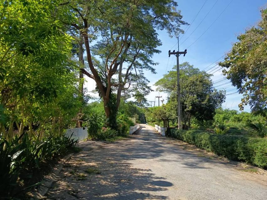 ขาย ที่ดิน ทำเลมาแรงบ้านพักตากอากาศ 209 ตร.วา ติดคลองมวกเหล็ก ใกล้บ้านพักเดลี่โฮม ปากช่อง. 6