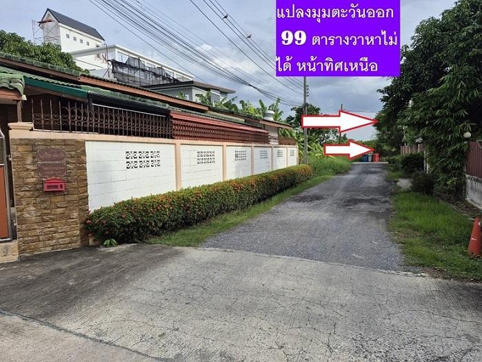 ขายที่ดินแปลงจัดสรรพหล สายไหมอีกแปลง 99 ตารางวา แปลงสวยประจำซ.ตาลเดี่ยว แปลงมุมทิศตะวันออก หน้าทิศเหนือ สุดท้ายที่สวยสุด 2