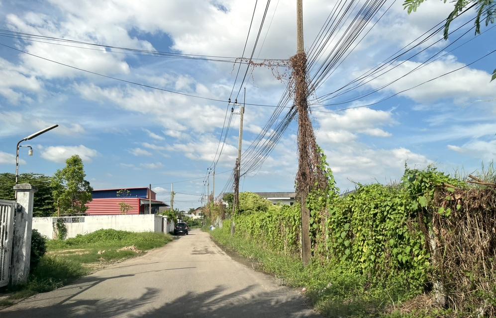 ขายที่ดิน 1 ไร่ ถนนนวมินทร์ ใกล้ทางด่วนเอกมัยรามอินทรา 098 7755 808 4