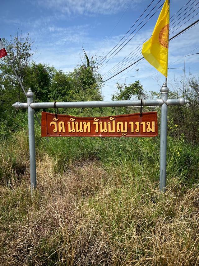 ขายที่ดินถมแล้ว 247 ตรว. ติดถนนคอนกรีต ถ.เลียบคลองบางโพธิ์ใต้ ปากซอยทับทิมแลนด์ 2 หมู่ 7 ปทุมธานี 9