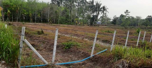 ที่ดิน ที่ดิน ใกล้ม.วลัยลักษณ์ จ.นครศรีธรรมราช 10309500 THAI BAHT ใกล้ ห่าง ม.วลัยลักษณ์ จ.นครศรีธรรมราช ประมาณ 1 กม. โค รูปที่ 8