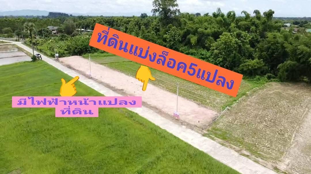 ขายที่ดินเปล่าแบ่งแปลงราคาถูกถมดินแล้ว 8