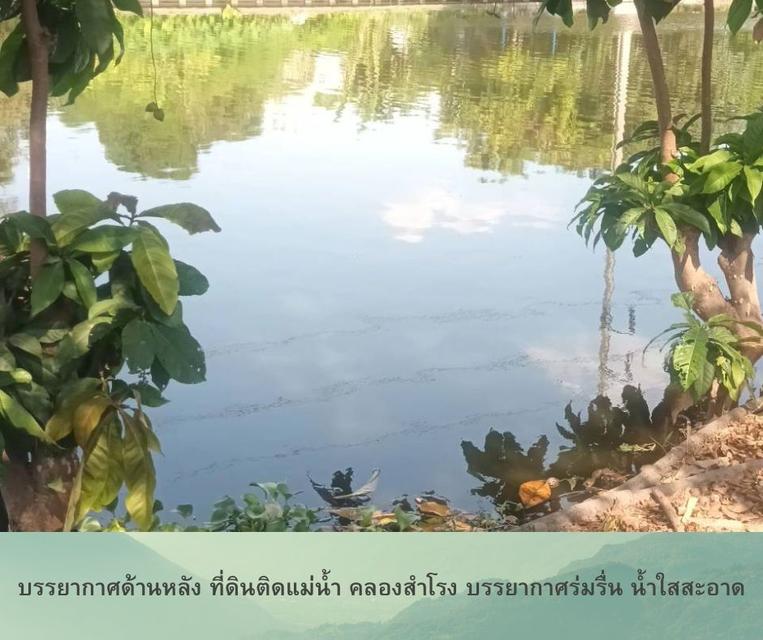 ึขายที่ดิน 2-3-94.4 ไร่ (1,194.4 ตร.ว) ถนนเทพารักษ์ กม.11 สมุทรปราการ ใกล้ รพ. บางนา 5 ด้านหลังติดคลองสำโรง ตารางวาละ 60,000 บาท 3