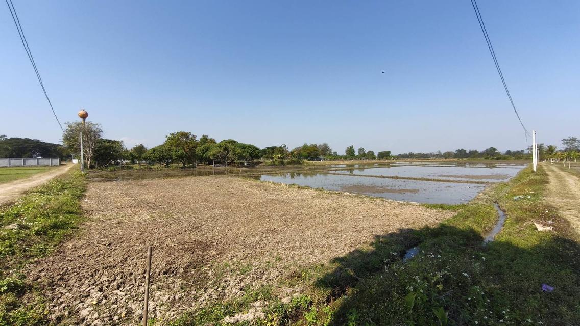 ขายที่ดิน 6-3-71 ไร่ ติดลำเหมือง 3 ด้าน น้ำ-ไฟพร้อม ใกล้กรมที่ดินสันกำแพง 800 เมตร 10