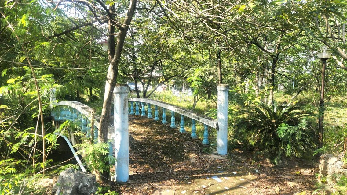 ขายที่สวน มีโฉนด อยู่ใกล้ถนนหลัก อ.ดอนเจดีย์  จ.สุพรรณบุรี 7