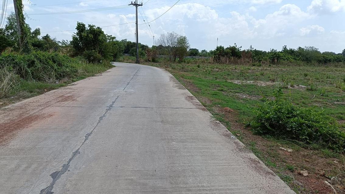 ที่ดิน 5 ไร่ 1 งาน โฉนด นส.4 จ 8