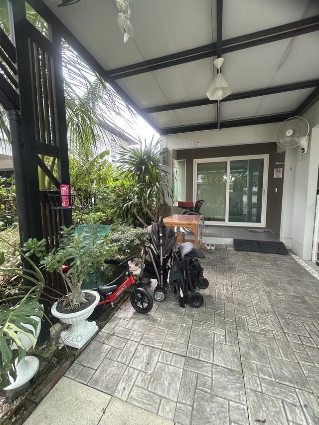 บ้าน หมู่บ้านชัยพฤกษ์ทางด่วนรามอินทรา-จตุโชิต 13