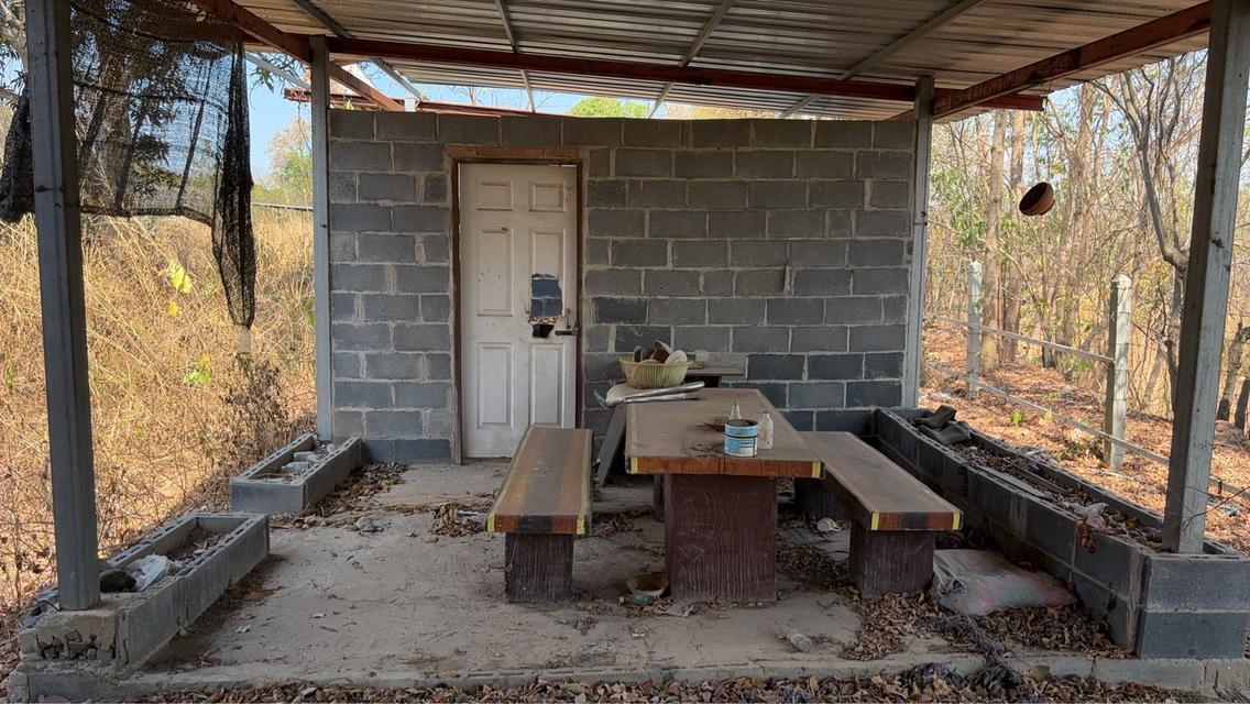 ขายที่ดินพนัสนิคม ชลบุรี พร้อมสิ่งปลูกสร้าง 2-2-20 ไร่ (แปลงมุมติดถนนคอนกรีต 2 ด้าน) 6