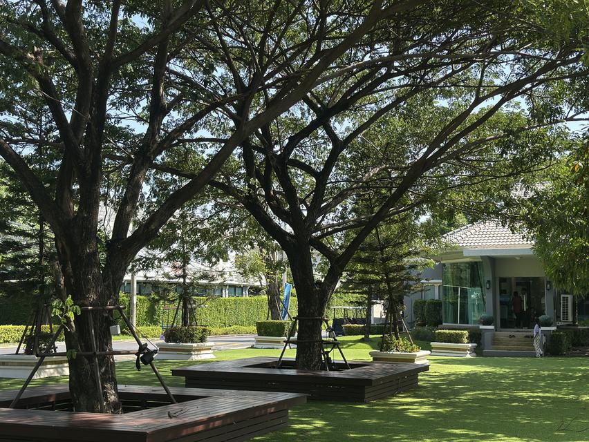 ✨🏡 บ้านให้เช่า Perfect Masterpiece สุขุมวิท 77 – สุวรรณภูมิ 🏡✨ 13