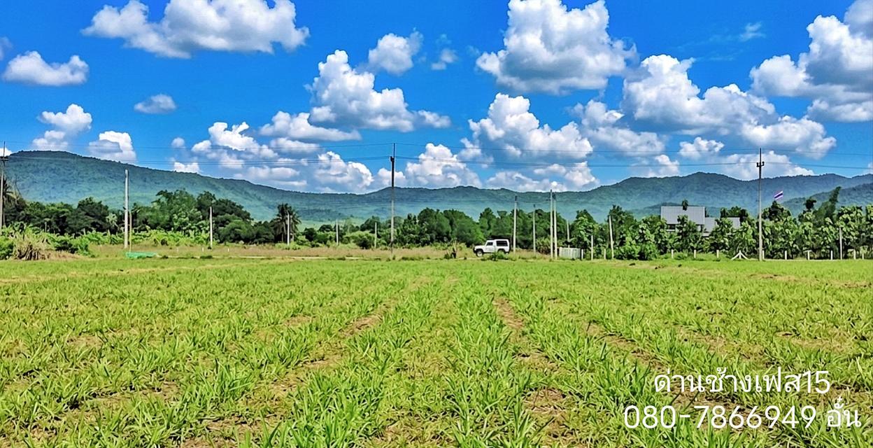 ที่ดินโฉนดวิวเขาสุดสวย 6ไร่ 2งาน 58.3 ตร.ว ไร่ละ400,000 อ.ด่านช้าง สุพรรณฯ มีบ่อน้ำ บ่อบาดาล ไฟผ่าน 080-7866949 อั๋น LINE ID : PHISEK.MA 4
