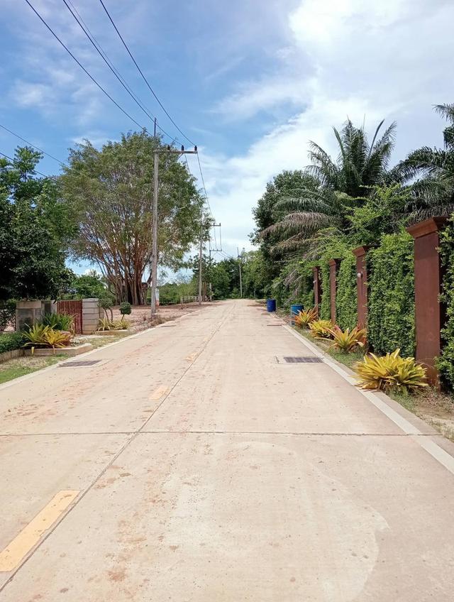 ขายที่ดินนาจอมเทียน พัทยา 1 ไร่ ถมแล้ว หลังวิทยาลัยสัตหีบใกล้หาดบ้านอำเภอ2กม. อ.สัตหีบ จ.ชลบุรี 5