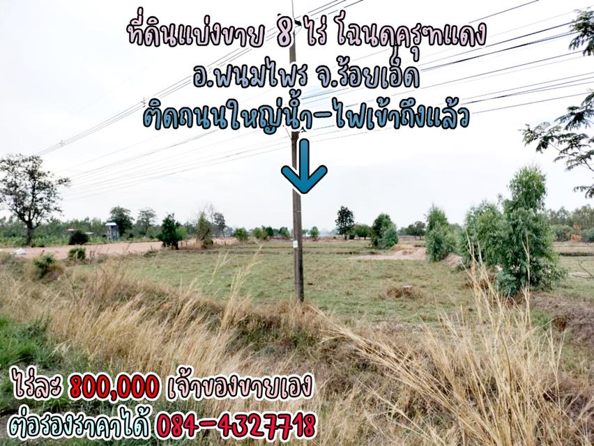 ที่ดินแบ่งขาย 8 ไร่ ราคาไร่ละ 800,000 พร้อมโฉนดครุฑแดง น้ำไฟผ่าน ติดถนนใหญ่ จ.ร้อยเอ็ด เจ้าของขายเอง ราคาต่อรองราคาได้ สนใจติดต่อ 084-4327718 6