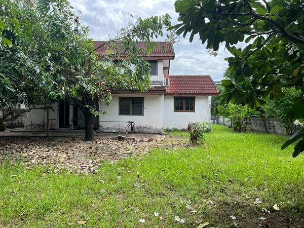 ขายที่ดินหายาก ครึ่งไร่กว่า เหมาะสร้างบ้าน ซอยติดมหาวิทยาลัยเกษตรศาสตร์บางเขน 7