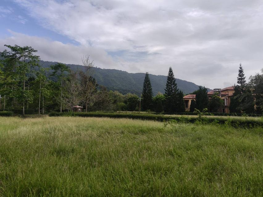 ขายที่ดินเขาใหญ่ ที่ดินในโครงการทอสคานา Toscana ราคาดีมาก โซนใกล้อุทยานแห่งชาติเขาใหญ่ วิวเขาสวย บ้านพักตากอากาศ หมูสี โป่งตาลอง ปากช่อง 087-9074045 3