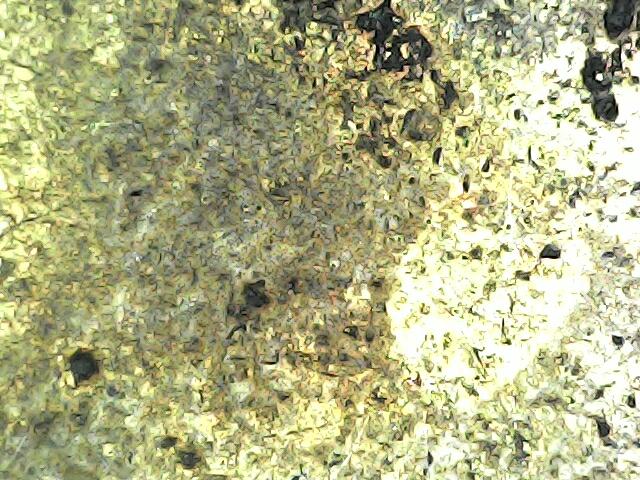 พระหลวงปู่ทวดหลังเตารีด 12