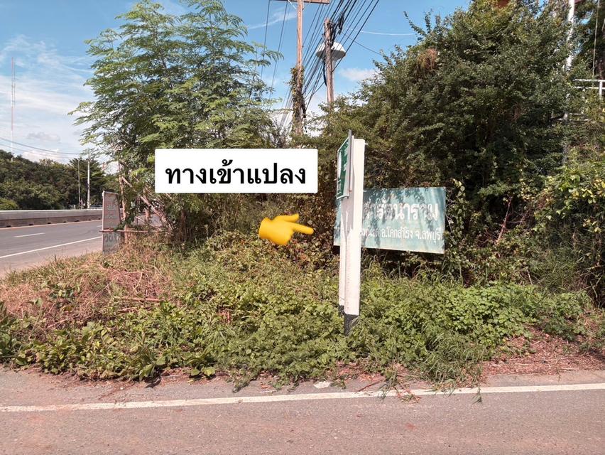 ที่ดิน เพนียด ลพบุรี ขนาด 102 ตร.วา 115,000 12