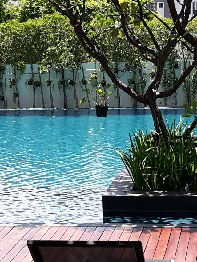 คอนโด The room  62 ติดรถไฟฟ้าปุณณวิถี 9