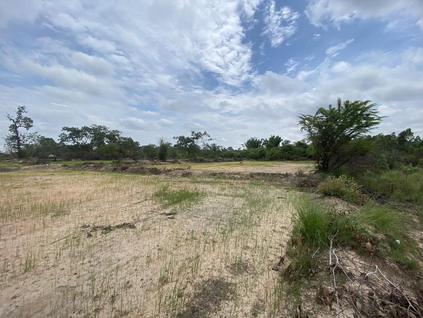 ขายด่วนที่ดินขายต่ำกว่าราคาประเมิน 4