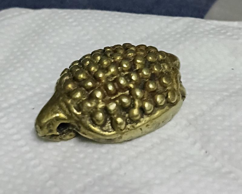 เต่ามะเฟืองหลวงพ่อเงิน 2