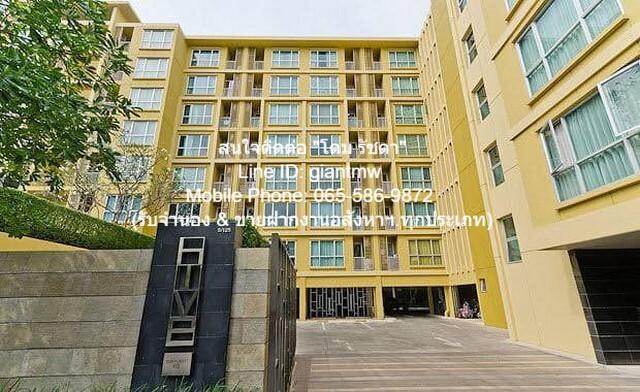 รหัส: DSL-559 RENT condo. Hive Sukhumvit 65 ไฮฟ์ สุขุมวิท 65 ใหญ่ขนาด 40 Square Meter 1 ห้องนอน 1 Bathroom ใกล้ ใกล้ BTS