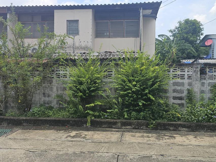 🏡ขายหมู่บ้านพฤกษชาติ บ้านแฝด 2 ชั้น ซอยรามคำแหง 118 แยก 83 พื้นที่ 50 ตารางวา 2