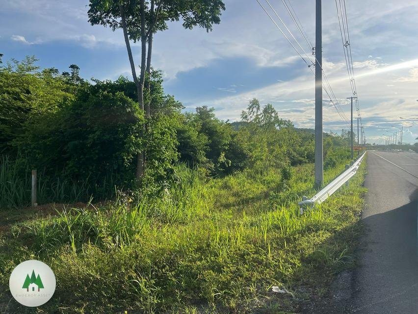 📣 ขายที่ดินติดถนนราชบุรี-ผาปก (3208) ตำบลรางบัว อำเภอจอมบึง จังหวัดราชบุรี เนื้อที่ 115 ไร่ 💰ราคาไร่ละ 590,000 บาท 8
