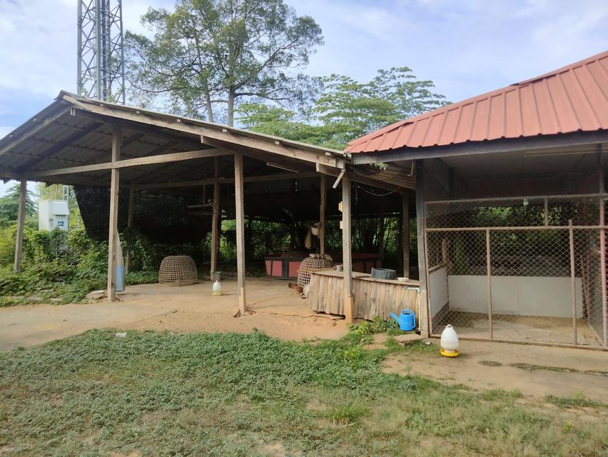 บ้านพร้อมที่ดิน ที่พิษณุโลก 10