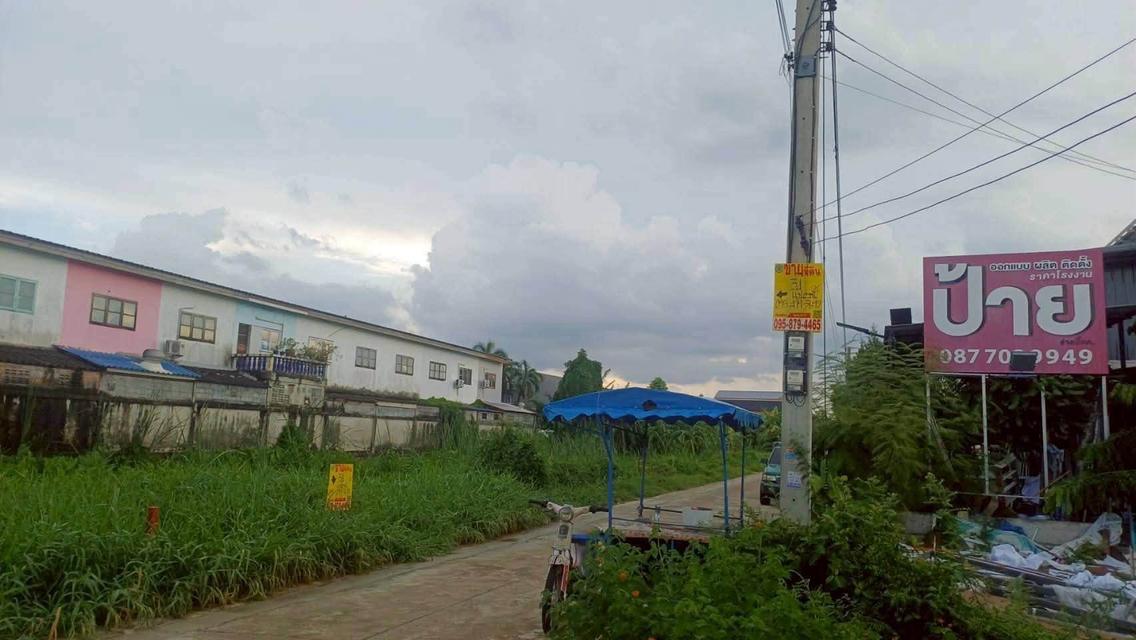 ขายถูกที่ดินลำลูกกา 34 ตรว ติดถนนคอนกรีตสาธารณะ ซ.เมตตา ต.บึงคำพร้อย จ.ปทุมธานี 1
