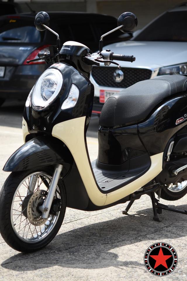 Honda Scoopy Urban 6