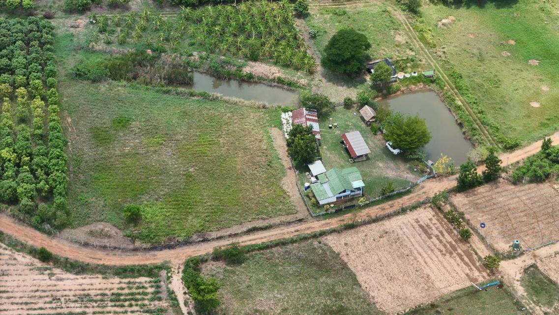 ขายที่ดินทางเลือก (ภบท5) ราคาจับต้องง่าย. ( 612บ./ ตร.วา ) ( 20 ไร่. : 4.9 ล้าน ) | ซื้อขาย เปลี่ยนชื่อได้ : พื้นที่. ปลอดภัยฯ หายห่วง | อากาศบริสุทธิ 7