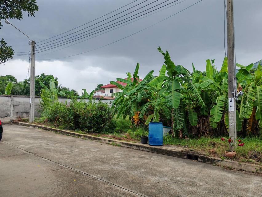 ขายที่ดินใน ม.ศรีวดี ซอยสมาคมชาวปักษ์ใต้หลังพาซิโอ้