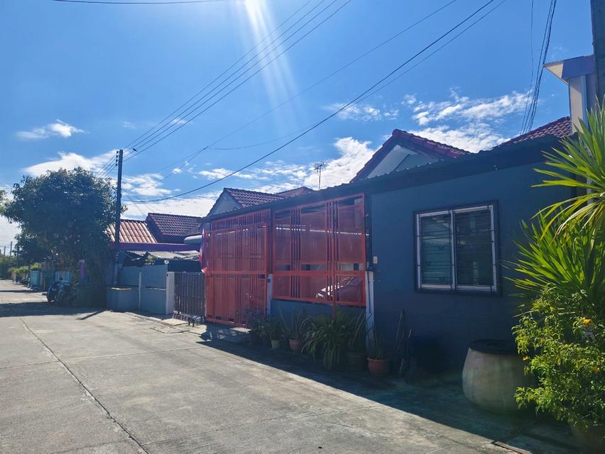 หมู่บ้านทรัพย์ธานี 1 รังสิต-นครนายก ถนนรังสิต-นครนายก ต.ลำผักกูด อ.ธัญบุรี จ.ปทุมธานี 2