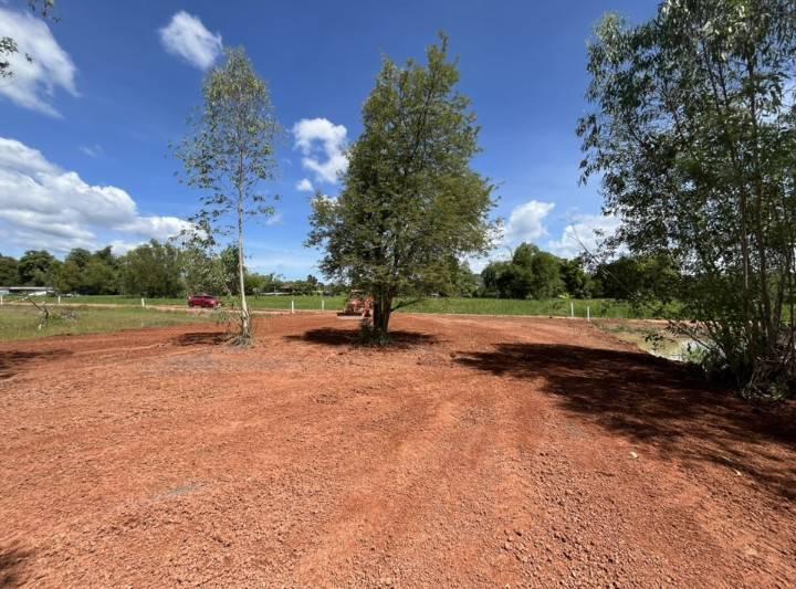 ขายที่ดินแถวคลองชลประทานใกล้สนามบินสกลนคร 3