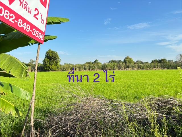 ที่ดิน 2 ไร่ 1