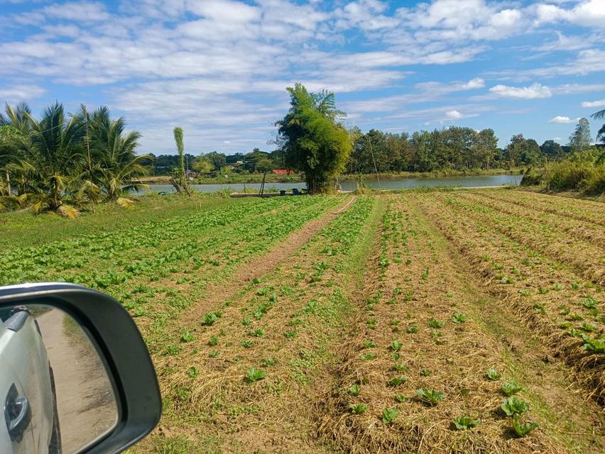 ที่ดินเปล่าขอนแก่น 212 ตารางวา หลังแปลงติดคลอง บรรยากาศโล่ง พร้อมโอน 3