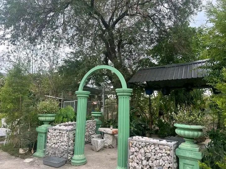 ขายบ้านเดี่ยวพร้อมที่ดิน 1