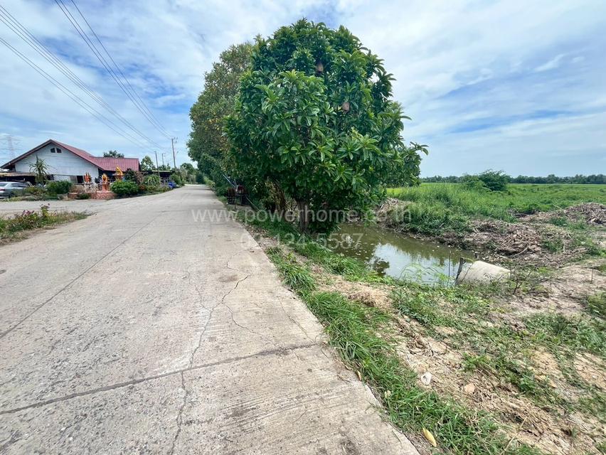 ที่ดินเปล่่า เนื้อที่ 2 ไร่  ต.บางกระบือ อ.สามโคก จ.ปทุมธานี 2