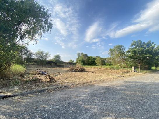 ขายที่ดินแปลงสวย วิจิตราธานี บางนา–ตราด  เนื้อที่ 230 ตร.ว ต่ำกว่าราคาประเมิน คุ้มค่ามาก 10