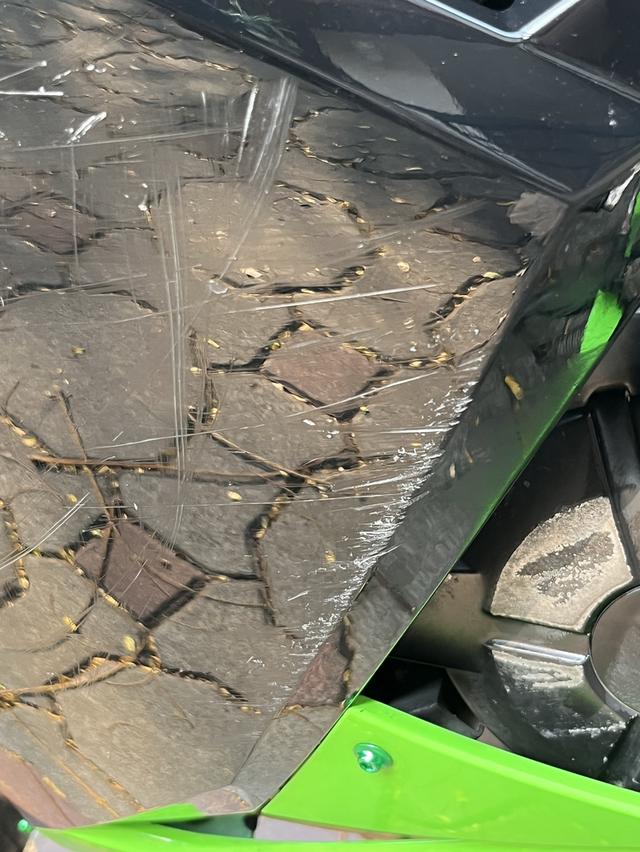 Kawasaki ninja second-handed motorcycle 2013 รูปที่ 10