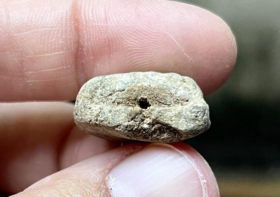 หลวงปู่ทวดเนื้อว่านเก่าๆ 4