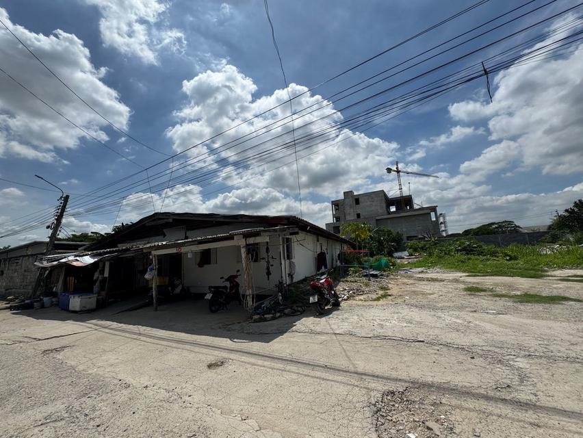 ขายด่วน! ที่ดิน 1 ไร่ ทำเลกรุงเทพกรีฑา 31 4