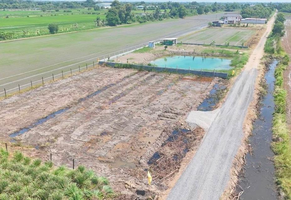 คลอง 6 ซอย 67 แปลงเล็กเหมาะปลูกบ้าน 6