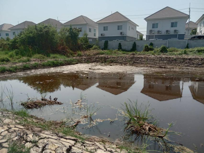 ขายที่ดินเปล่า 2 ไร่ ติดถนนคอนกรีต ซอยเทศบาลบางปู 83 14