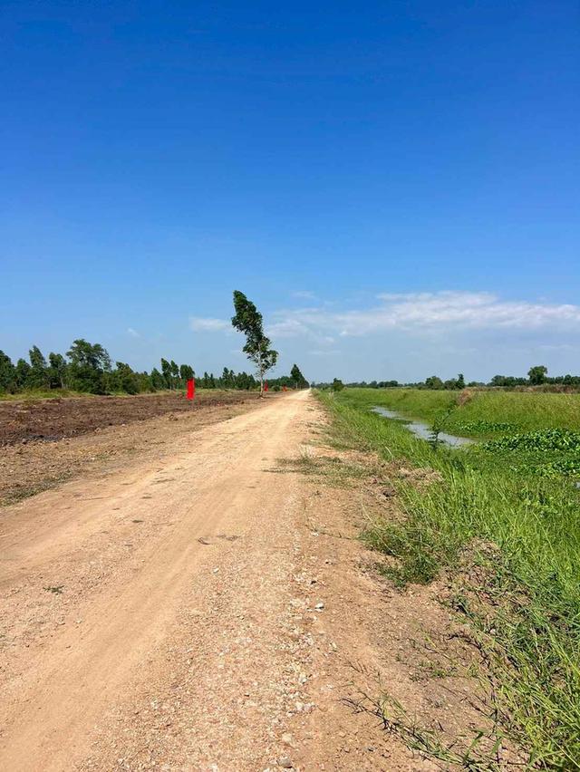 ขายที่ดินบึงกาสาม 1 ไร่ คลอง9 ติดถนนเลียบคลองแอน ใกล้ถนนเส้น5021-1กม. อ.หนองเสือ ปทุมธานี 3