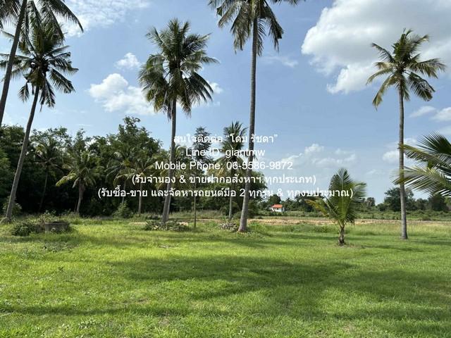 ที่ดิน //ถูกสุด//ขายที่ดินเปล่าติดถนน (ระดับเสมอถนน) 7 ไร่ (ใกล้ท่าอากาศยานโพธาราม) ต.เขาชะงุ้ม อ.โพธาราม ราชบุรี ราคา 3 5