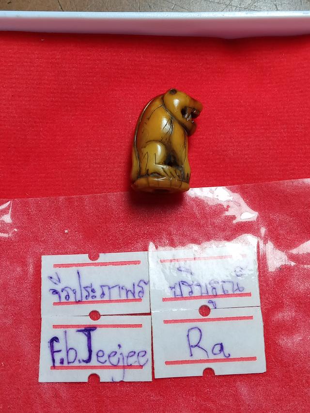 เขี้ยวเสือหลวงพ่อปานได้มาบ้านๆ 4