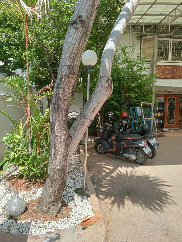 บ้านเดี่ยว 2ชั้น ย่านจรัญฯ75แยก13 3