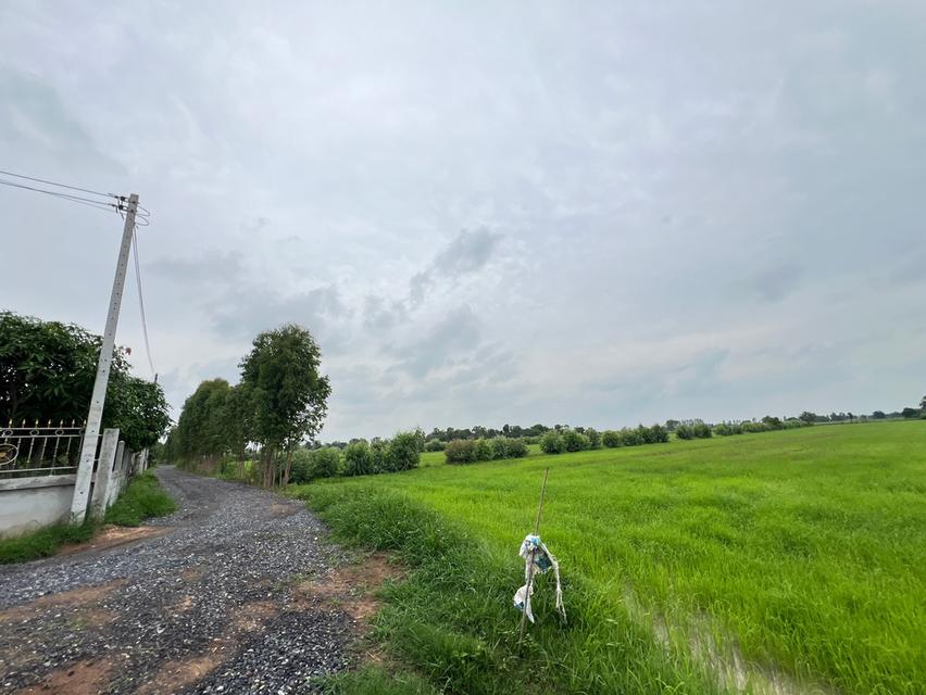 ที่ดิน ที่นา ที่อยู่อาศัย ที่ดินเปล่า 4